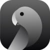 Codeparrot.ai